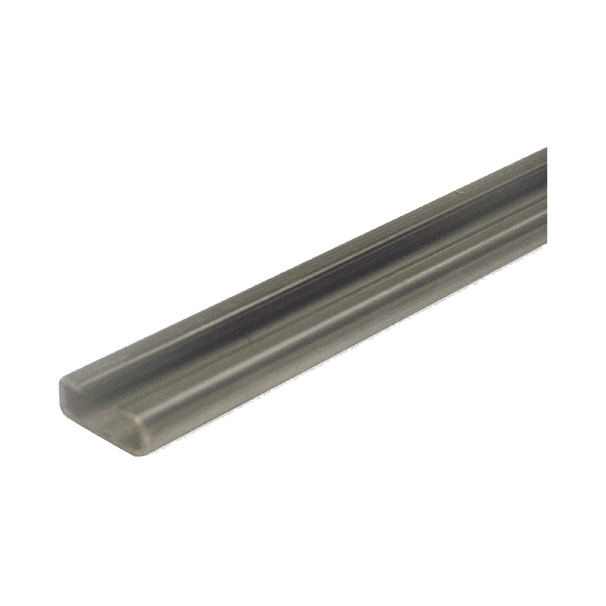 Riel tipo C / Compatible con motor ACCESSFORCE y FS1000APPRT.