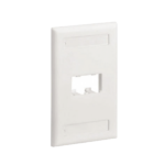 Placa de Pared Vertical Clásica, Salida Para 2 Puertos Mini-Com, Con Espacios Para Etiquetas, Color Blanco