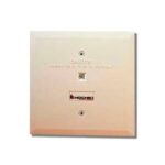 Módulo De Entrada De Zona Convencional Para Caja 4", Clase A y B (0400-01840)