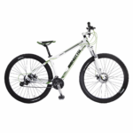 Bicicleta de Montaña R.29 24V